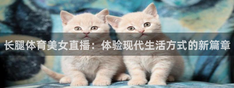 袋鼠看球直播：长腿体育美女直播：体验现代生活方式的新篇章