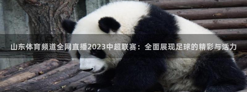 袋鼠直播篮球：山东体育频道全网直播2023中超联赛：全面展现足球的精彩与活力