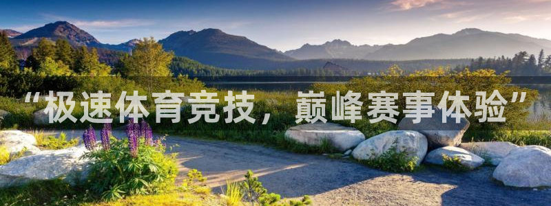 袋鼠直播在线观看：“极速体育竞技，巅峰赛事体验”