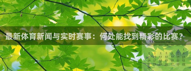 袋鼠直播体育nba直播：最新体育新闻与实时赛事：何处能找到精彩的比赛？