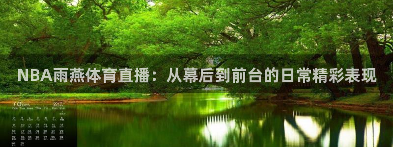 袋鼠体育：NBA雨燕体育直播：从幕后到前台的日常精彩表现