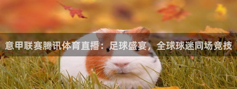 袋鼠直播体育.新网页.org：意甲联赛腾讯体育直播：足球盛宴，全球球迷同场竞技