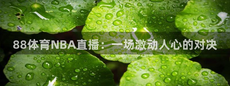 袋鼠直播体育在线：88体育NBA直播：一场激动人心的对决