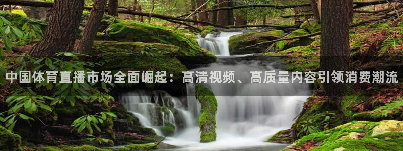 袋鼠直播在线播放：中国体育直播市场全面崛起：高清视频、高质量内容引领消费潮流