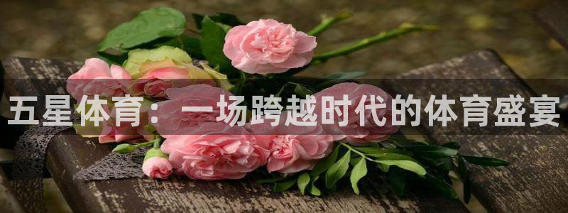 袋鼠直播在线播放：五星体育：一场跨越时代的体育盛宴