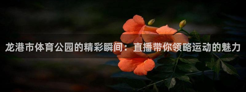 袋鼠体育直播足球：龙港市体育公园的精彩瞬间：直播带你领略运动的魅力