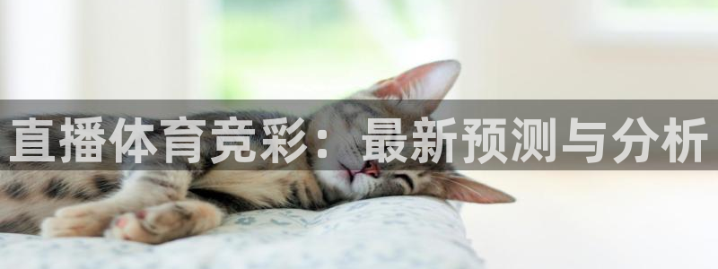 袋鼠足球免费直播：直播体育竞彩：最新预测与分析