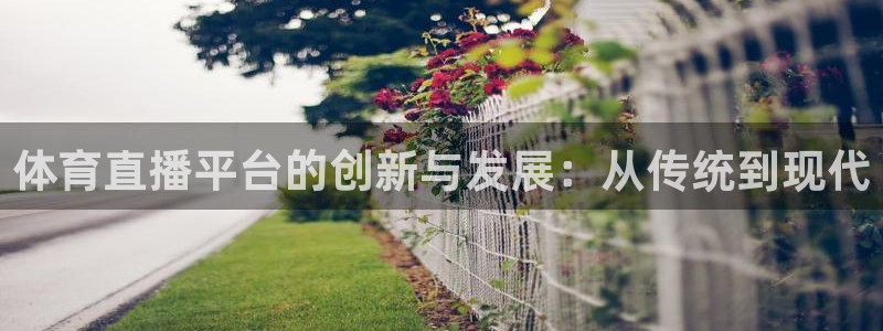 袋鼠直播体育app下载：体育直播平台的创新与发展：从传统到现代