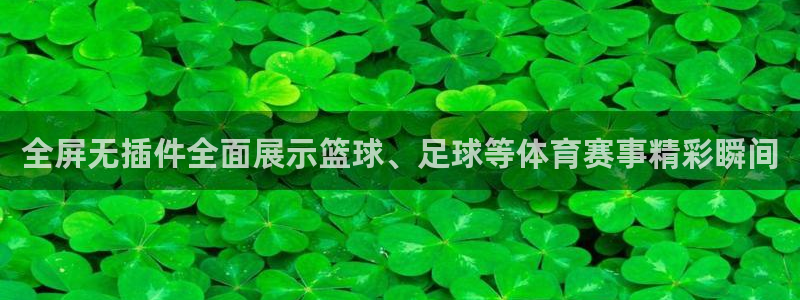 袋鼠在线体育直播：全屏无插件全面展示篮球、足球等体育赛事精彩瞬间