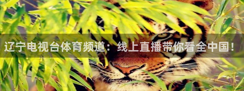 袋鼠直播体育免费直播：辽宁电视台体育频道：线上直播带你看全中国！