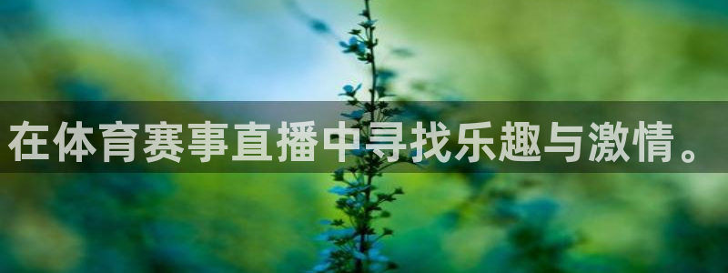 袋鼠直播体育在线观看：在体育赛事直播中寻找乐趣与激情。