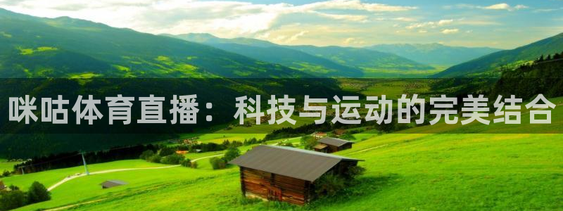 袋鼠直播在线观看：咪咕体育直播：科技与运动的完美结合
